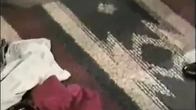 Legendary Holly Body