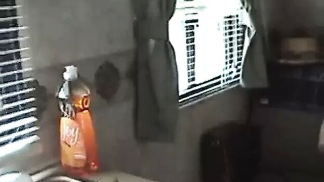 Chubby Swingers - bichris24