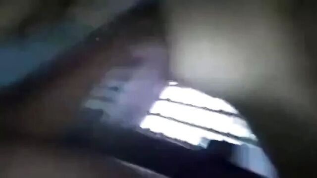 The Amazing Greek Collection