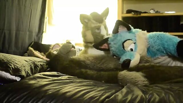 Fursuit 1