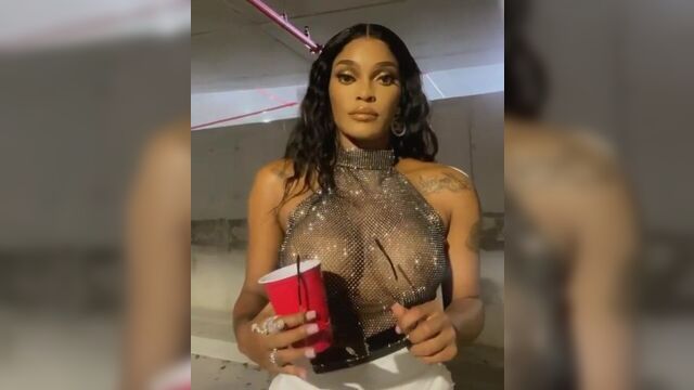 Joseline Hernandez Puerto Rican Princess