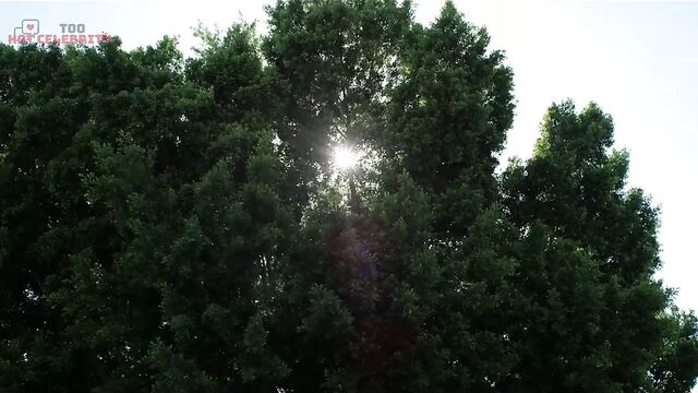 Francesca Eastwood - MFA 2017