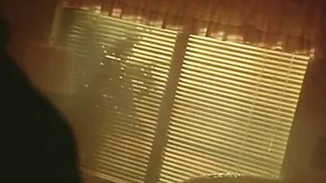 Pamela Anderson Snapdragon compilation