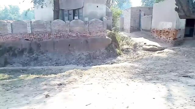 Pakistani actress sex with cousin