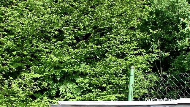 German Mother get Fuck Public with two young German Boys