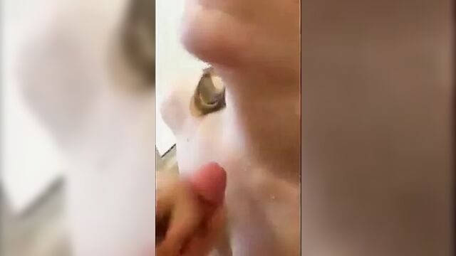 Redhead hotwife talking about BBC