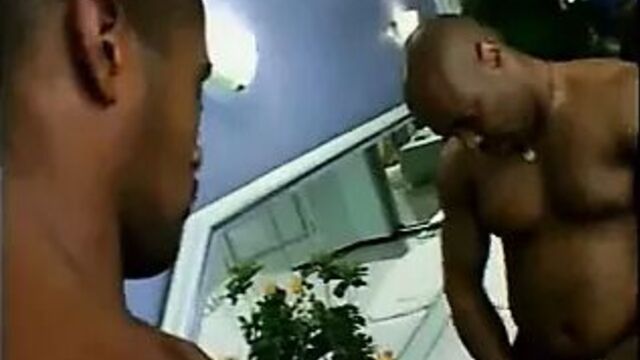 Black and Mamacita's