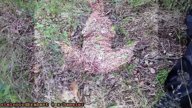 Love to play outside on a lazy sunday