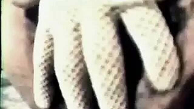 Kellie Everts Huge Hairy Pussy #2