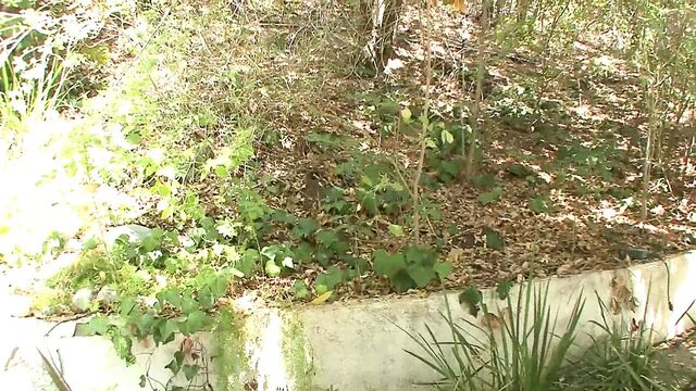 Zoey Nixon fucks and sucks cock for hot cum