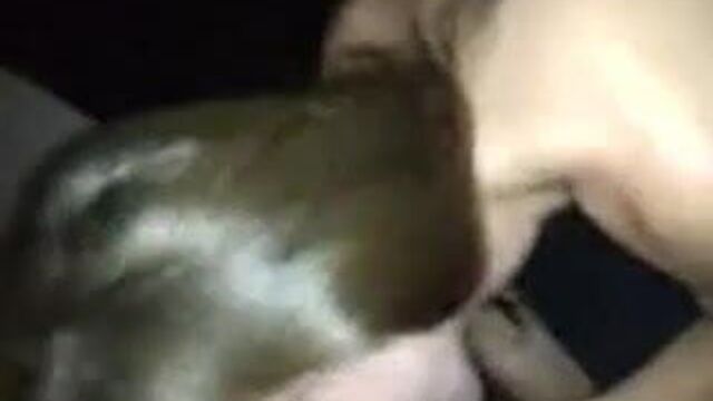 Grupni seks - Serbian - Pusicacom