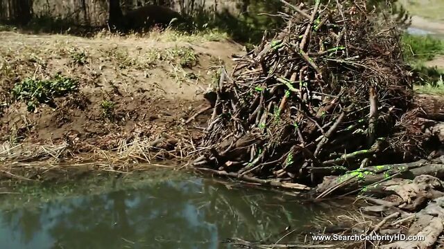 Cortney Palm nude - Zombeavers (2014)