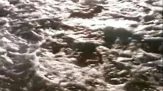 HOTEL EROTICA MODEL BEHAVIOR