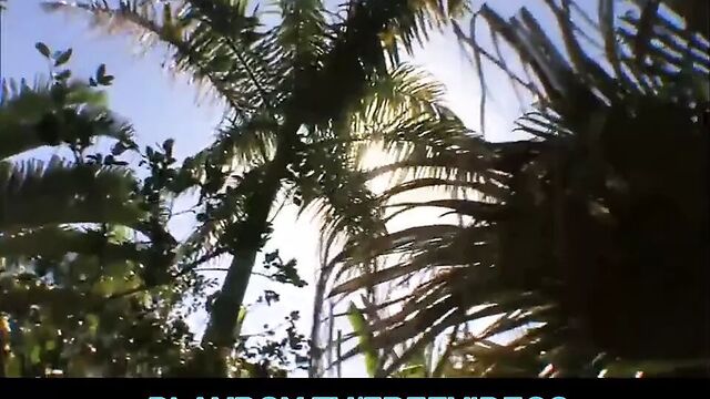 Tropical island full of beautiful women is a dream vacation