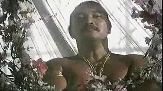 Arabian princess gets fucked.